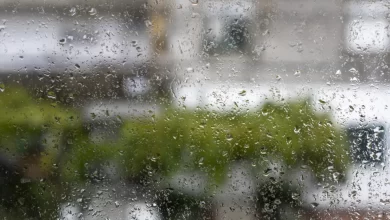 Mau tempo: Portugal continental com 1.123 ocorrências até às 22h00