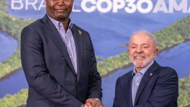 Moçambique defende papel global na preservação ambiental