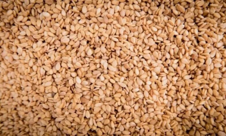 Moçambique na lista dos maiores produtores de Gergelim