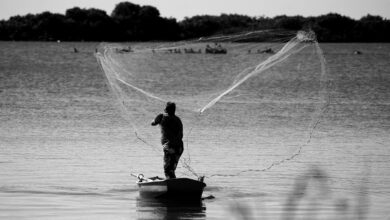 Moçambique perde 5 mil milhões de meticais por ano devido à pesca ilegal