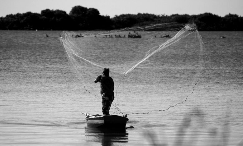 Moçambique perde 5 mil milhões de meticais por ano devido à pesca ilegal