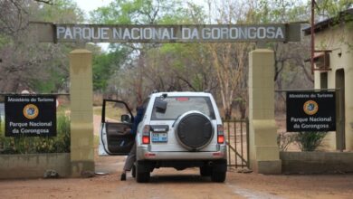 Noruega reforça apoio ao Projecto Gorongosa