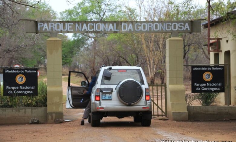 Noruega reforça apoio ao Projecto Gorongosa