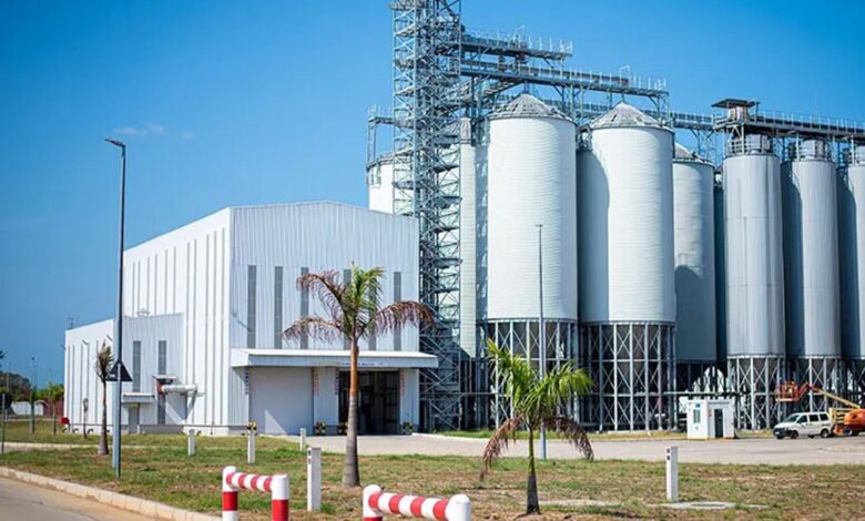 Nova fábrica de processamento de gergelim avaliada em 35 M$ entra em funcionamento em Sofala