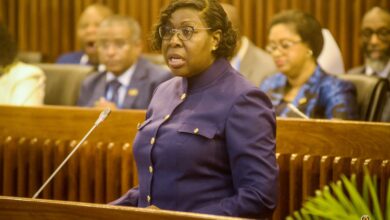 PM: Moçambique está estável apesar da criminalidade e terrorismo
