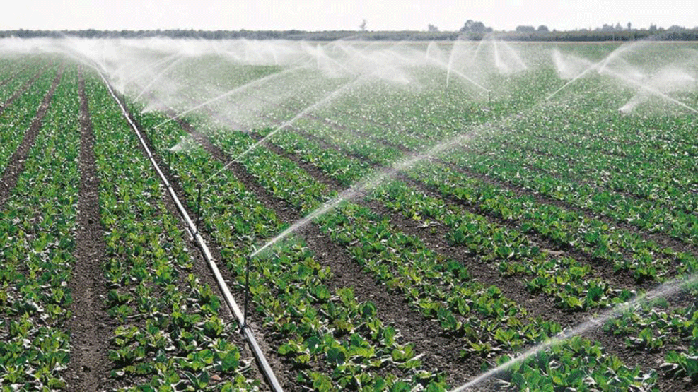 País reforça irrigação agrícola