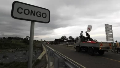 Países e bancos anunciam compromisso para travar desmatamento no Congo