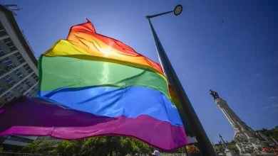 Portugal é um dos seis países das Nações Unidas com lei contra 'bullying' LGBTI+