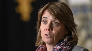 Presidenciais? "Seguro não quer ser um candidato de Esquerda"