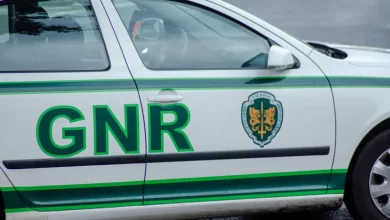 Preventiva para 4 dos 9 detidos por tráfico de droga em Aveiro e Porto