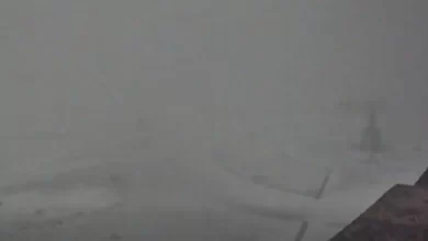 Primeira neve já caiu na Serra da Estrela (e fechou acesso). Ora veja