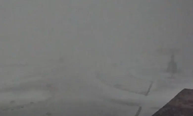 Primeira neve já caiu na Serra da Estrela (e fechou acesso). Ora veja