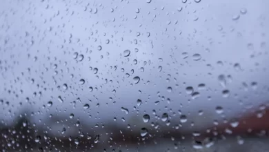 Proteção Civil regista dezenas de ocorrências devido à chuva forte