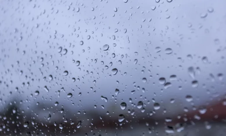 Proteção Civil regista dezenas de ocorrências devido à chuva forte
