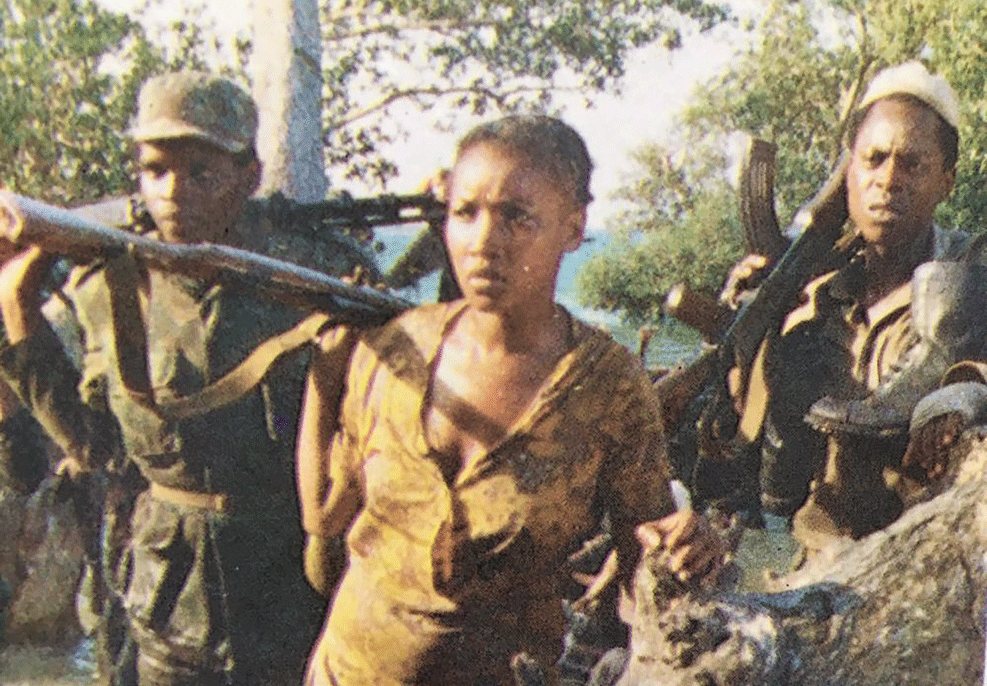 QUARENTA ANOS DEPOIS: Uma viagem pelo “ Tempo dos Leopardos”