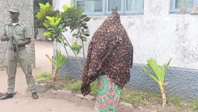 Recuperado recém-nascido roubado semana passada em Sofala