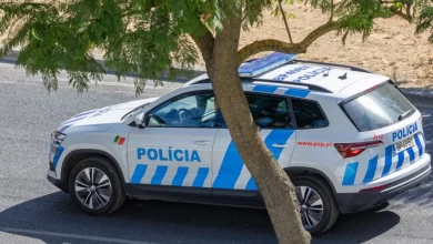 Retomadas buscas por turista desaparecido na Madeira desde segunda-feira