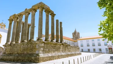 Sem apoio quadrienal renovado Cendrev promete nova candidatura em 2026
