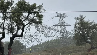 Tornado afetou dez casas em Nisa: "Ficaram completamente a descoberto"