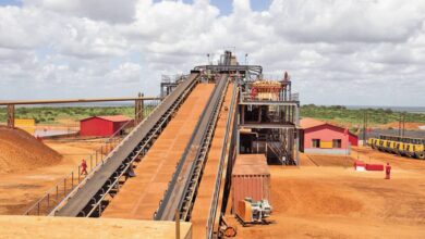 Trabalhadores da Dingsheng Minerals em Gaza paralisam actividades e exigem contratos e salários justos