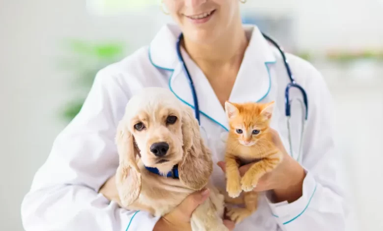 Veterinários pedem justiça fiscal e IVA a 6% para os animais de companhia