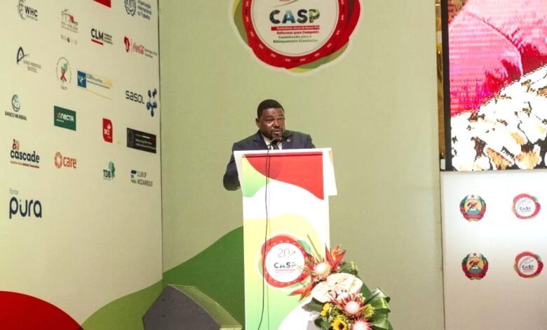 XX CASP: Muhate promete reformas para melhorar ambiente investimento