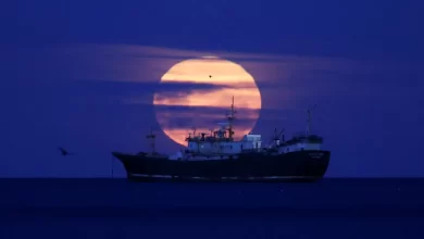 A última superlua de 2025 não desiludiu. Eis as melhores fotografias