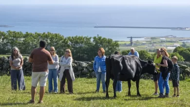 Confederação de turismo diz que setor está a entrar em crescimento sustentável