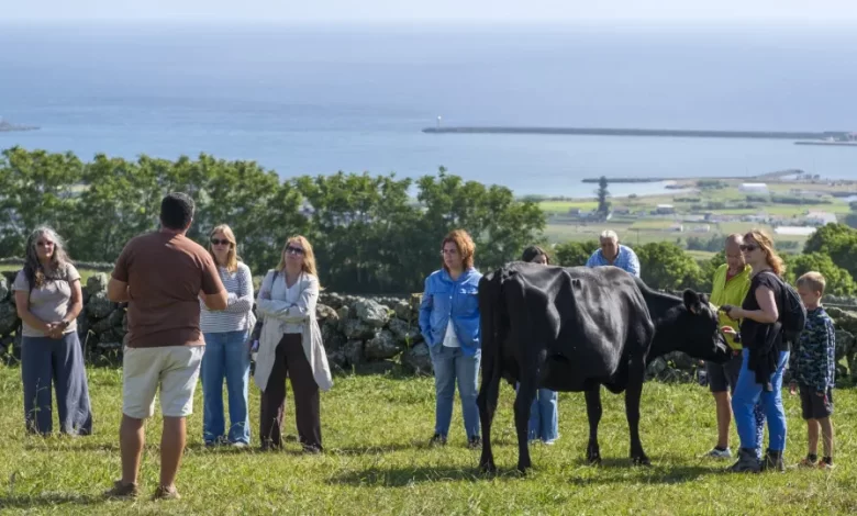 Confederação de turismo diz que setor está a entrar em crescimento sustentável