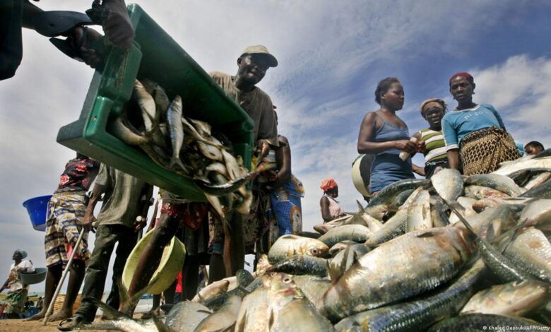Estado perde anualmente 70 milhões dólares devido à pesca ilegal