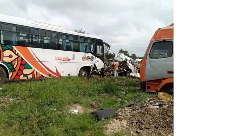 Governo suspende “CityLink” após colisão fatal e cria comissão de inquérito