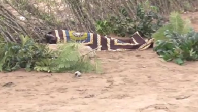 Inhambane: Homicídios e suicídios inquietam Assembleia Provincial