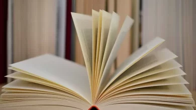 Luso-canadiano lança livro sobre percurso no basebol e saúde mental
