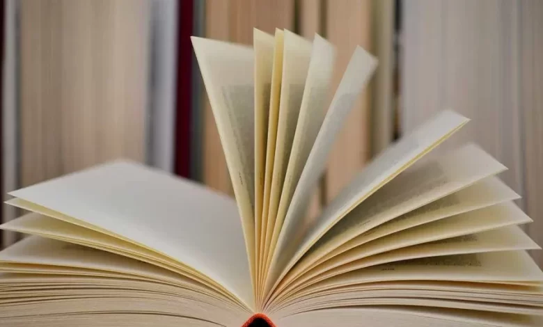 Luso-canadiano lança livro sobre percurso no basebol e saúde mental