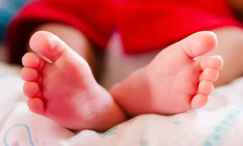 Mãe leva bebé de hospital em Gaia. Menor ia para família de acolhimento