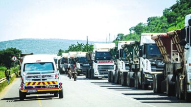 Moçambique e África do Sul ensaiam sistema de desalfandegamento único na fronteira de Ressano Garcia