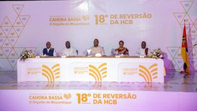 Presidente da República pede reformas no modelo de venda de energia em Moçambique