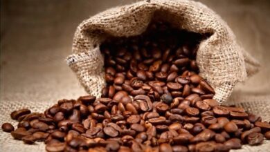 Sofala conta com nova fábrica de processamento de café avaliada em 25,6 milhões de meticais