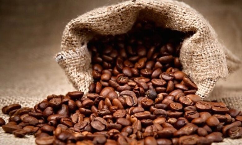 Sofala conta com nova fábrica de processamento de café avaliada em 25,6 milhões de meticais