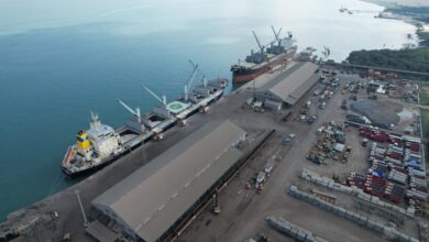 Vice-ministra holandesa visita Porto da Beira