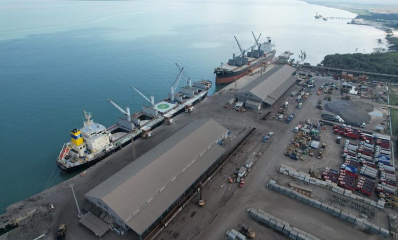 Vice-ministra holandesa visita Porto da Beira