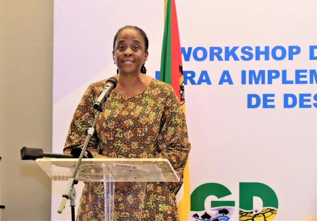 Cheias “afectaram profundamente” Moçambique