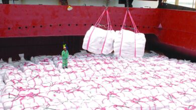 GOVERNO DECIDE FAZER DIFERENTE: Travão na desordem de importação do arroz