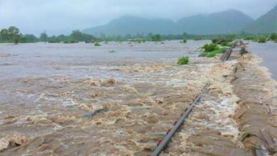Interrompida circulação ferroviária na linha de Limpopo