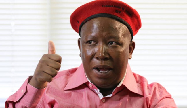 Leitura da sentença do político sul-africano Julius Malema adiada