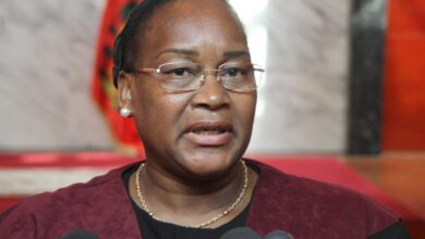 Lúcia Ribeiro na 19.ª Conferência das Jurisdições Constitucionais Africanas