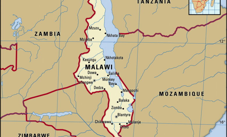 Malawi: Presidente Mutharika anuncia abolição de taxas escolares do ensino primário e secundário