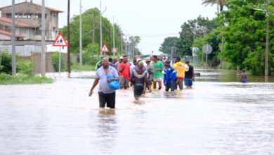 Quarenta por cento de Gaza inundada