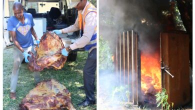 Apreendida carne bovina imprópria no Xipamanine