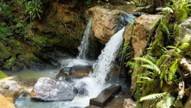 CACHOEIRA DA AMIZADE: Tesouro escondido nas matas de Gondola